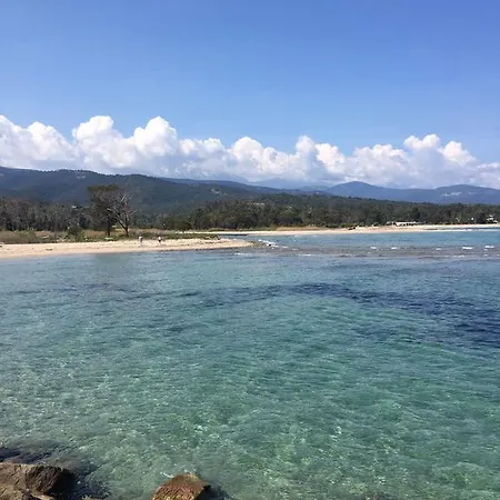 I Cardellini * Sari-Solenzara