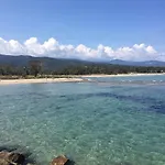I Cardellini * Sari-Solenzara
