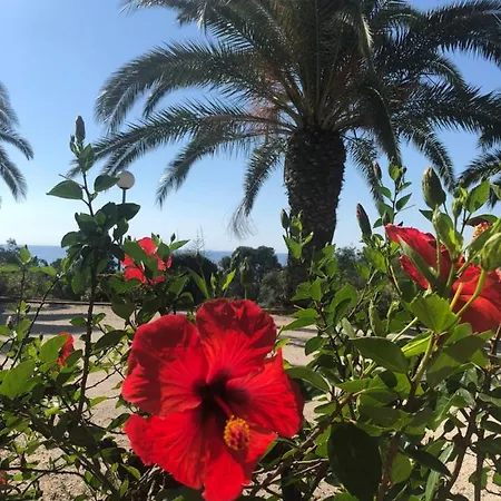 I Cardellini 公寓 萨里索伦札拉