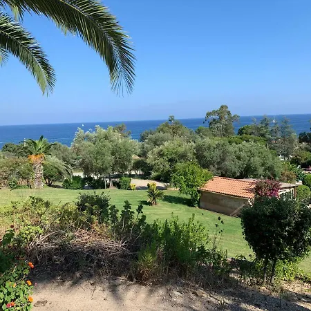 I Cardellini 萨里索伦札拉