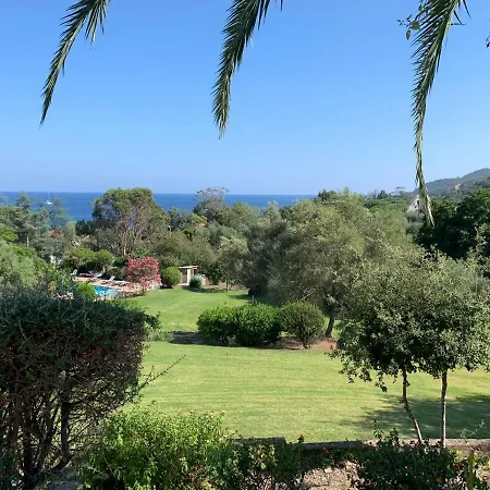 I Cardellini 萨里索伦札拉