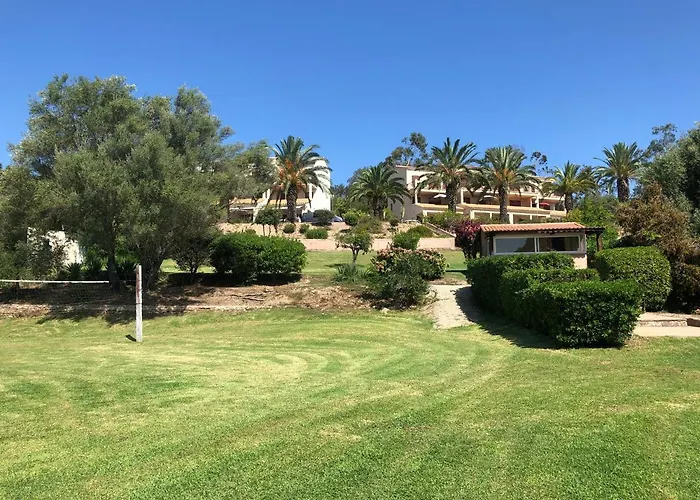 I Cardellini * Sari-Solenzara