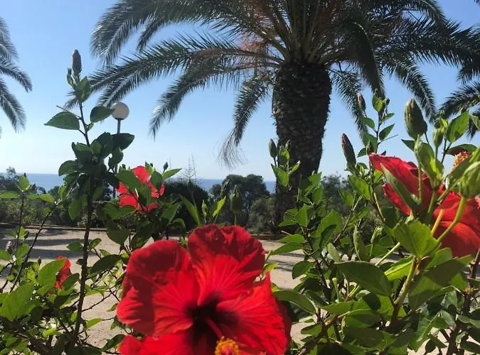 I Cardellini Lägenhet Sari-Solenzara