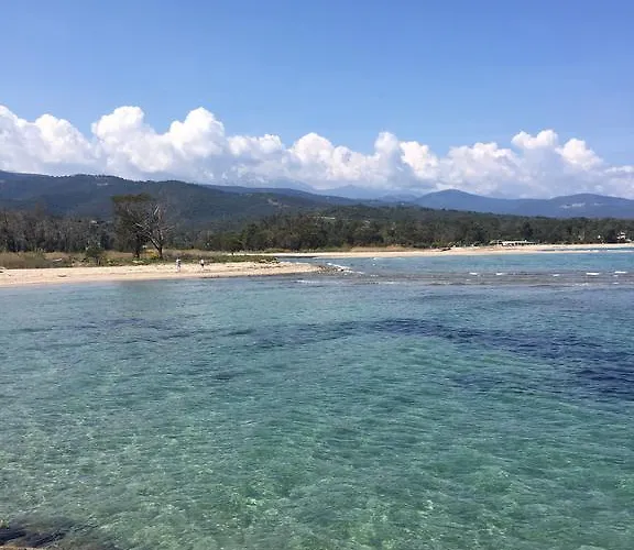 I Cardellini * Sari-Solenzara