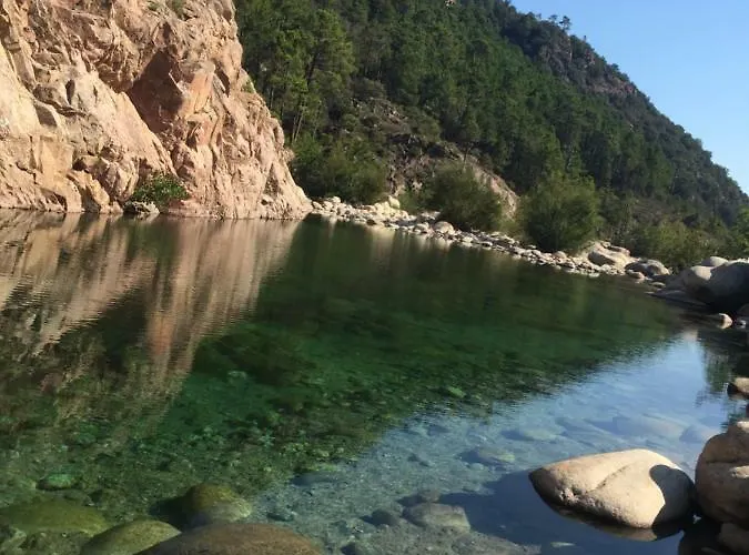 Lägenhet I Cardellini