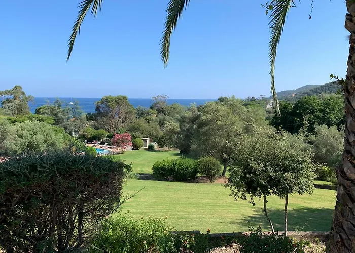 I Cardellini Sari-Solenzara